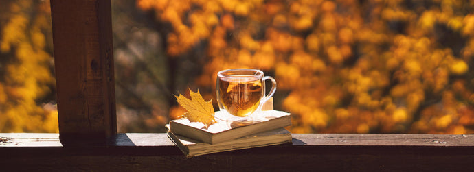 Le 10 Migliori Tisane e Tè per l'Autunno: Calore e Benessere Naturale