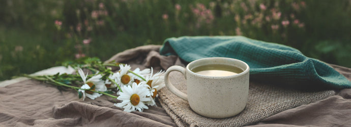 Tisane Detox e Rimedi Naturali per Affrontare Stanchezza, Allergie e Insonnia in Primavera
