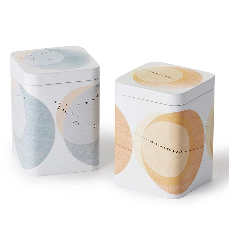 4 Barattoli In Metallo Per Tè Sfuso – Argento, 7,5x7,5x12 Cm, Con Coperchio Ermetico A Doppio Strato, Per Foglie Di Tè, Caffè E Spezie