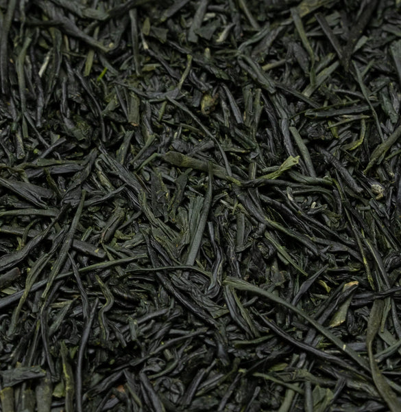 Sencha Asanoka