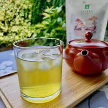 Charger l'image dans la galerie, Gyokuro
