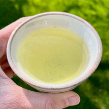 Charger l'image dans la galerie, Gyokuro
