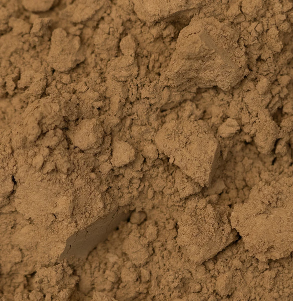 Hojicha in polvere