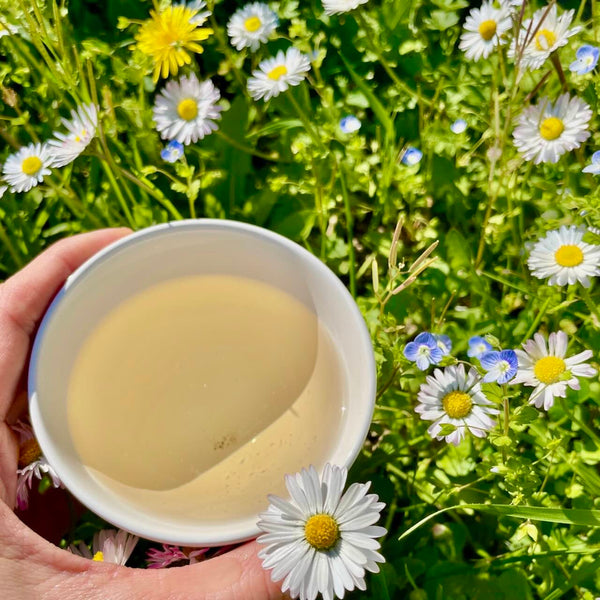 Nepali White Buds Tea