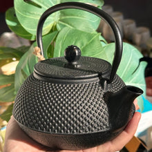 Lade das Bild in den Galerie-Viewer, NANGANG Teekanne aus Gusseisen
